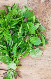 Essential Oil - Basil Organic (India) 12 ml, 36 ml or 50 ml